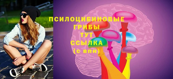 прущие грибы Армянск