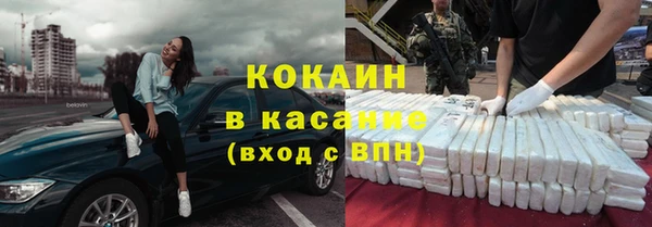 прущие грибы Армянск