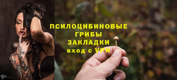 ГАЛЛЮЦИНОГЕННЫЕ ГРИБЫ Алексеевка