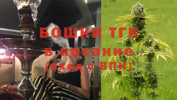 кокс Арсеньев