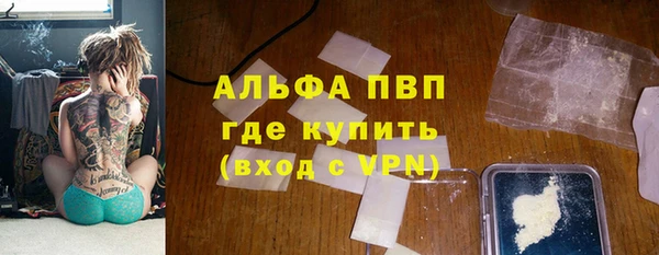 прущие грибы Армянск