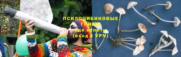крисы Семикаракорск