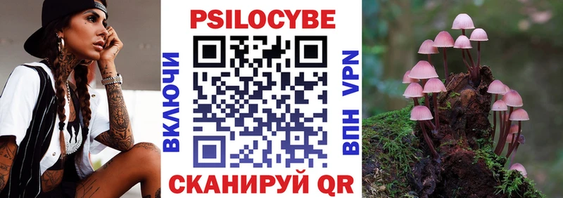 закладки Конаково omg ссылки Псилоцибиновые грибы Cubensis