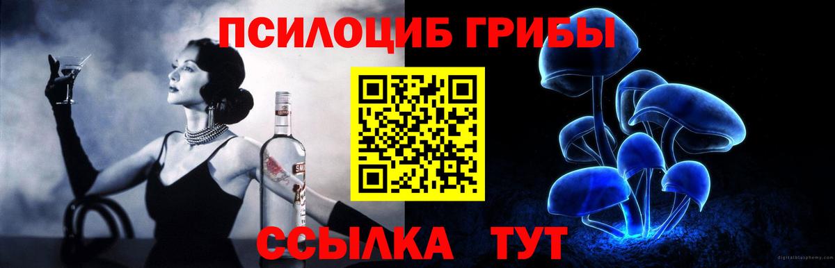 Конаково  Псилоцибиновые грибы мицелий  Вход с VPN  Псилоцибиновые грибы Psilocybine cubensis 